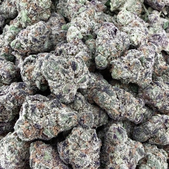 X08 Fruit Pie S