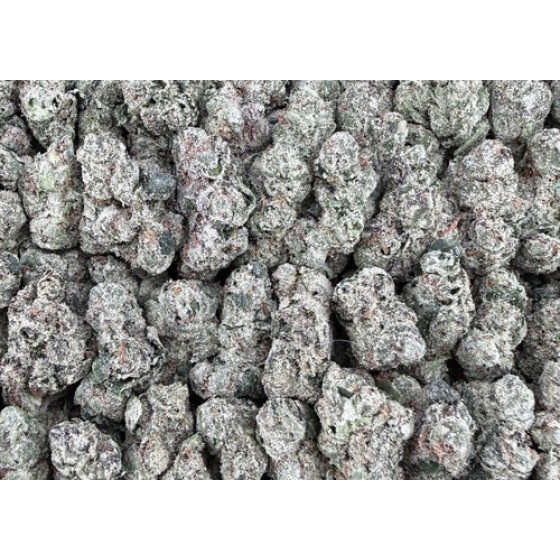 X14 Berry Gelato S