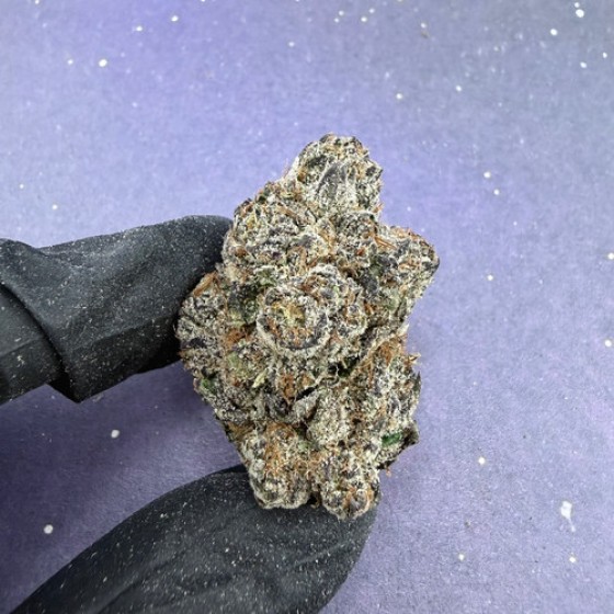D51 White Cherry Runtz
