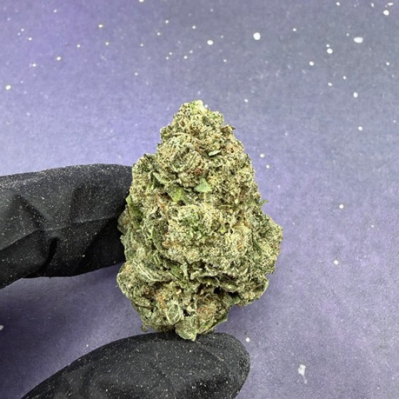 D06 Berry Gelato