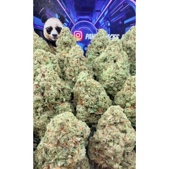D32 Mango Gusherz