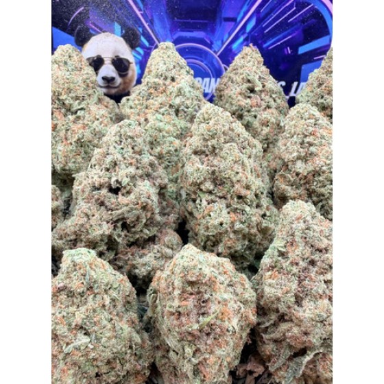 D37 White Fire