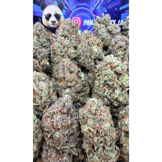 D41 Ambrosia Haze