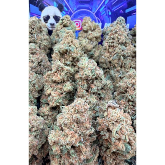 D80 Headband
