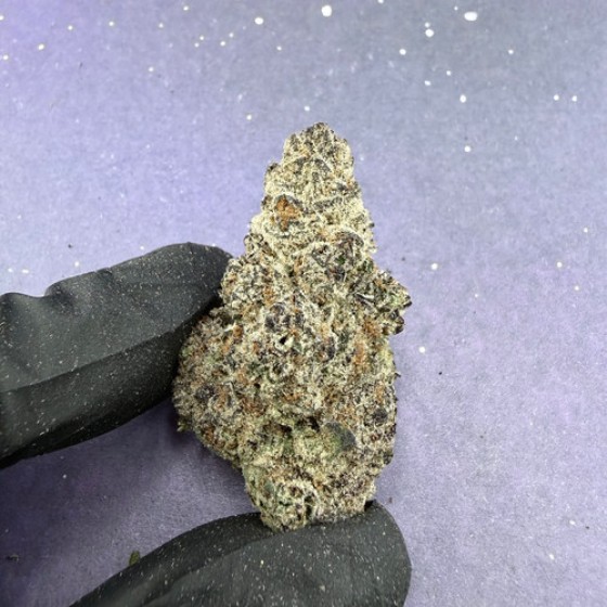 D10 Girl Scout Cookies