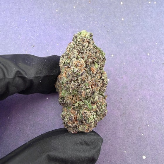D15 Candy Pop