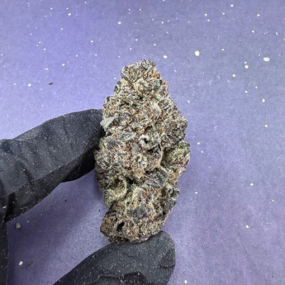 D47 Cherry Nerds